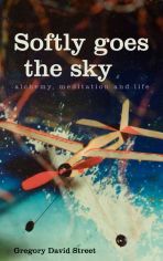 Softly goes the sky book cover image