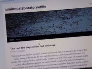 Luminous laboratory of life blog